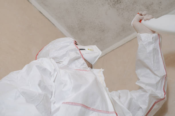Best Mold Remediation Experts  in Ke Charles, LA