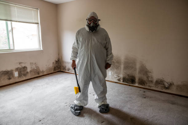 Best Commercial Mold Removal  in Ke Charles, LA
